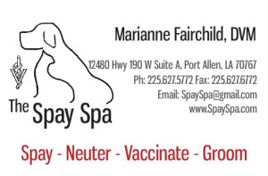 [Spay Spa logo]